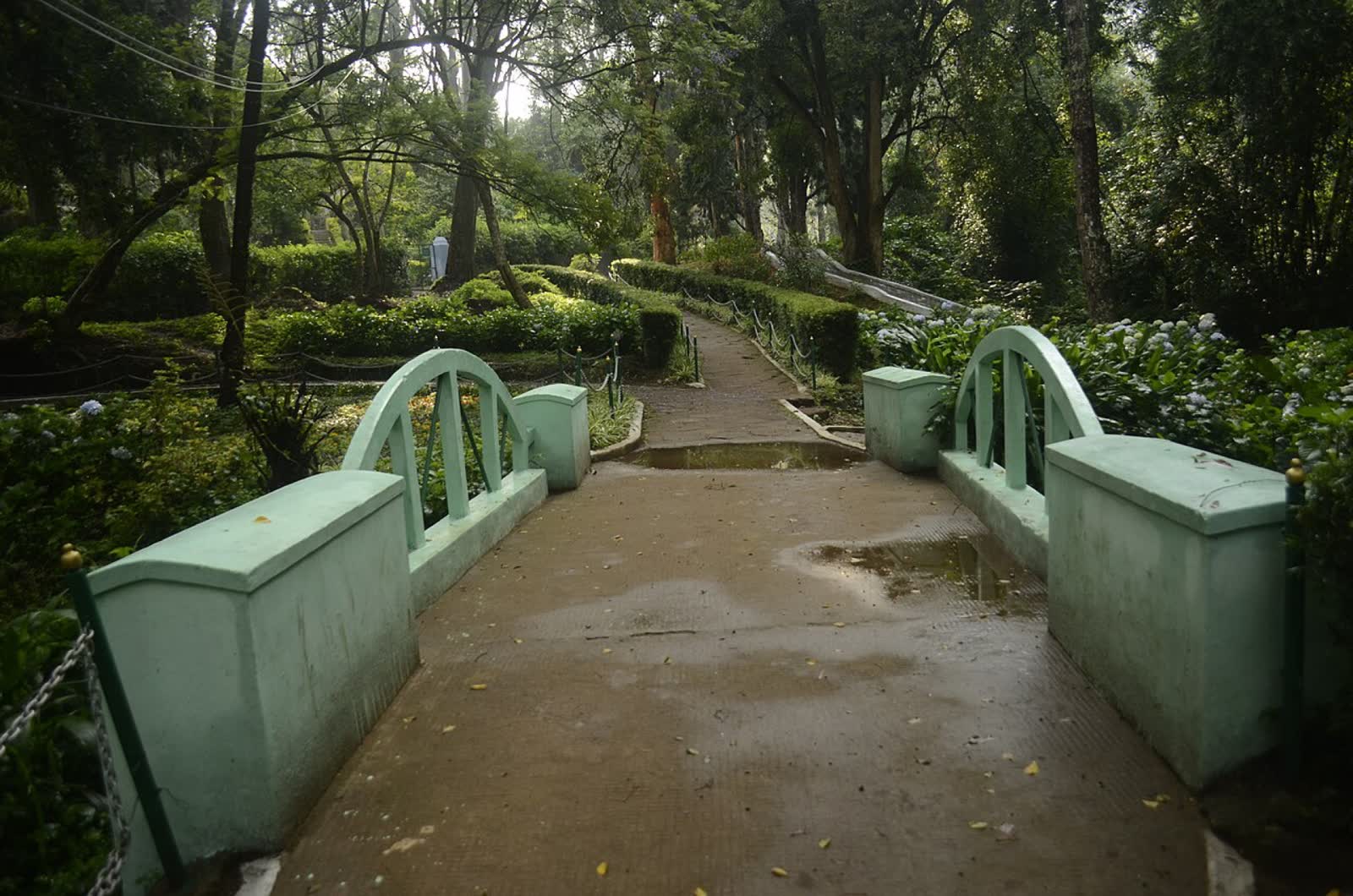 Sim's Park, Coonoor