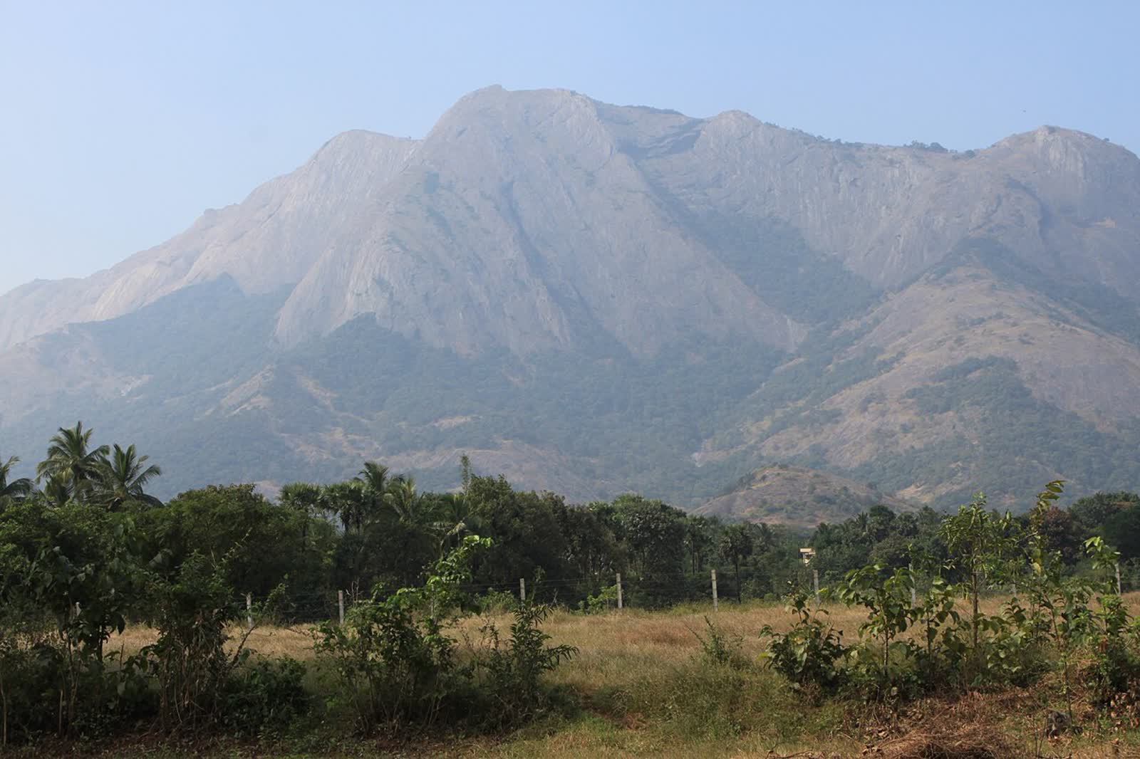 Western Ghats near Coimbatore